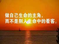 宁夏众赢农业机械销售有限公司