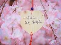 宁夏众赢农业机械销售有限公司