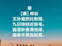 宁夏众赢农业机械销售有限公司