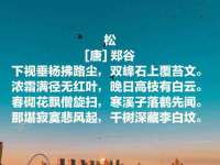 宁夏众赢农业机械销售有限公司