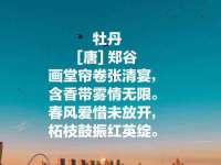 宁夏众赢农业机械销售有限公司