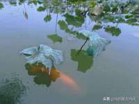 宁夏众赢农业机械销售有限公司
