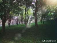 宁夏众赢农业机械销售有限公司