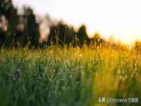 宁夏众赢农业机械销售有限公司