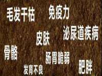 宁夏众赢农业机械销售有限公司