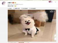 宁夏众赢农业机械销售有限公司