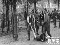 宁夏众赢农业机械销售有限公司