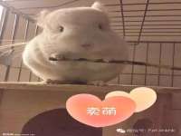 宁夏众赢农业机械销售有限公司