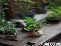 宁夏众赢农业机械销售有限公司