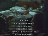 宁夏众赢农业机械销售有限公司