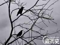 宁夏众赢农业机械销售有限公司