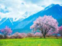 宁夏众赢农业机械销售有限公司