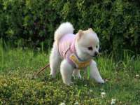 宁夏众赢农业机械销售有限公司