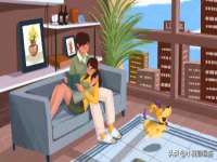 宁夏众赢农业机械销售有限公司