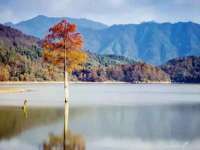 宁夏众赢农业机械销售有限公司
