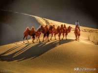 宁夏众赢农业机械销售有限公司
