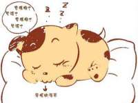 宁夏众赢农业机械销售有限公司