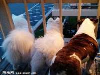 宁夏众赢农业机械销售有限公司