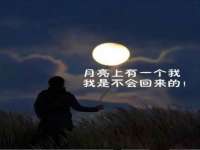 宁夏众赢农业机械销售有限公司