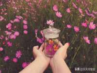 宁夏众赢农业机械销售有限公司