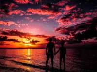 宁夏众赢农业机械销售有限公司