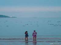宁夏众赢农业机械销售有限公司