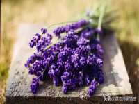 宁夏众赢农业机械销售有限公司