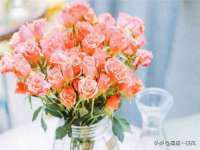 宁夏众赢农业机械销售有限公司