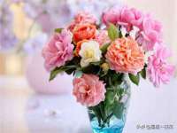 宁夏众赢农业机械销售有限公司