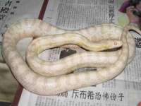 宁夏众赢农业机械销售有限公司