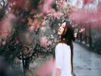 宁夏众赢农业机械销售有限公司