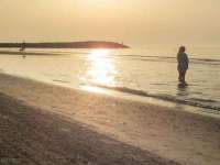 宁夏众赢农业机械销售有限公司