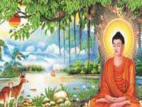 宁夏众赢农业机械销售有限公司