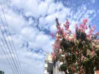 宁夏众赢农业机械销售有限公司