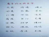宁夏众赢农业机械销售有限公司