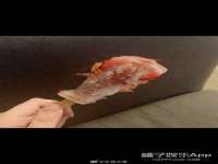 宁夏众赢农业机械销售有限公司